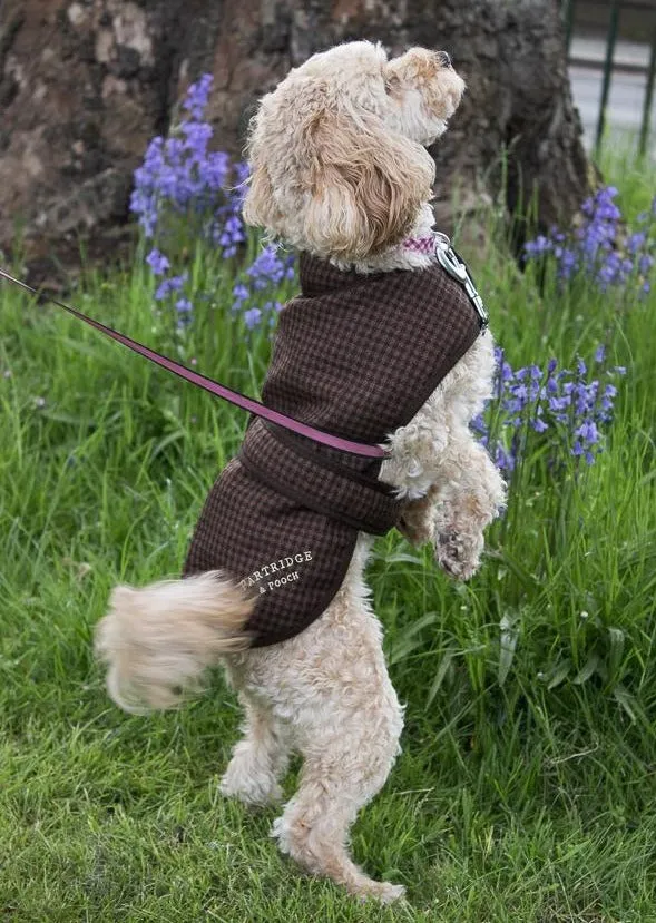 Dog Coat - Brown Gingham