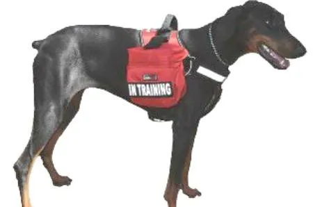 Dogline Side Utility Bags for Unimax Service Dog Harness