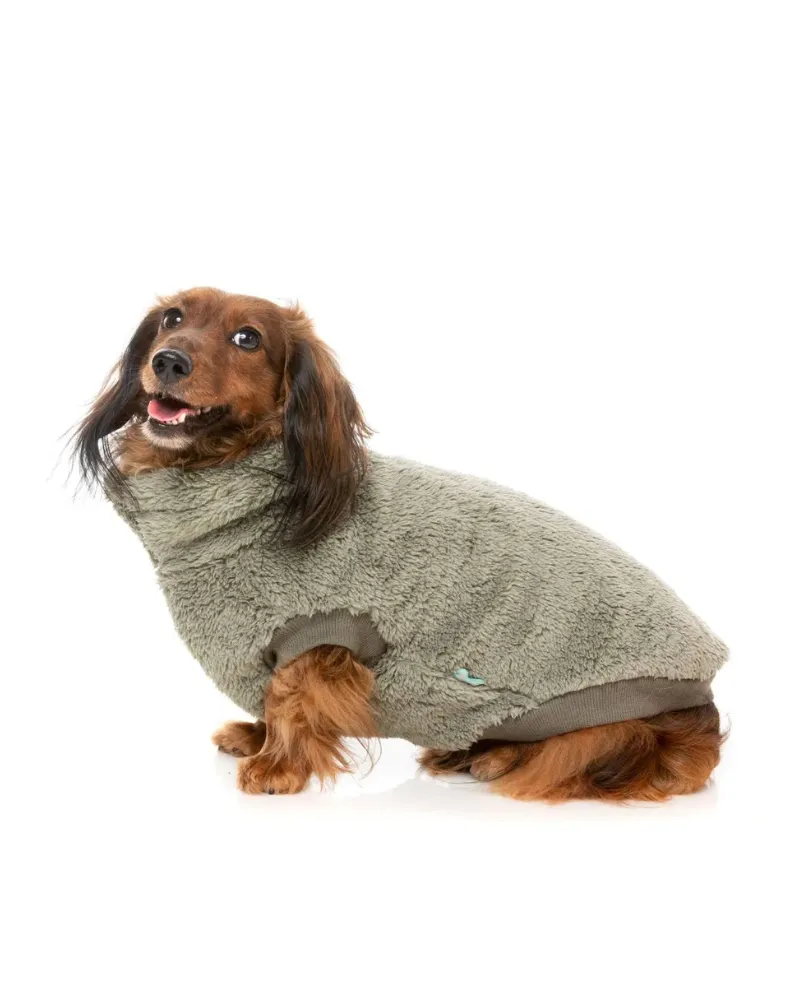 Turtle Teddy Dog Fleece in Rosemary