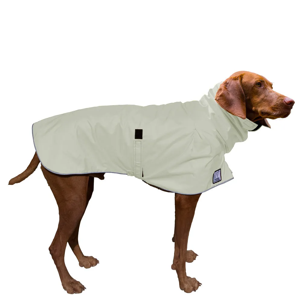 Vizsla Raincoat