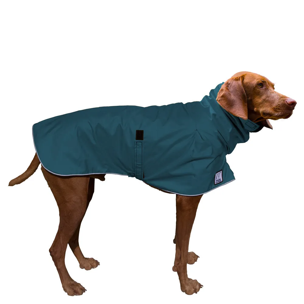 Vizsla Raincoat